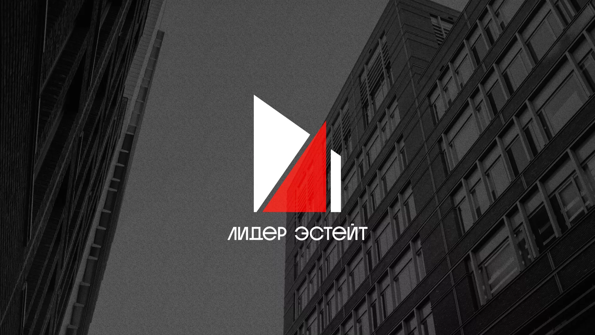 Сделали логотип для агентства недвижимости «Лидер Эстейт» в Гусиноозёрске